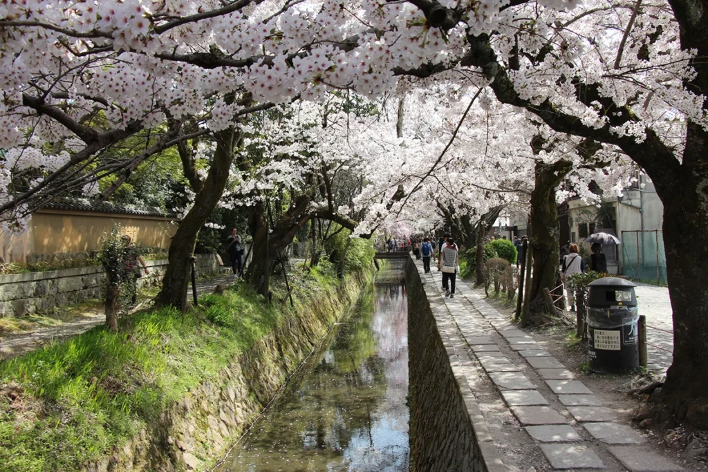 Philosopher's Walk 2 Philosopher's Walk