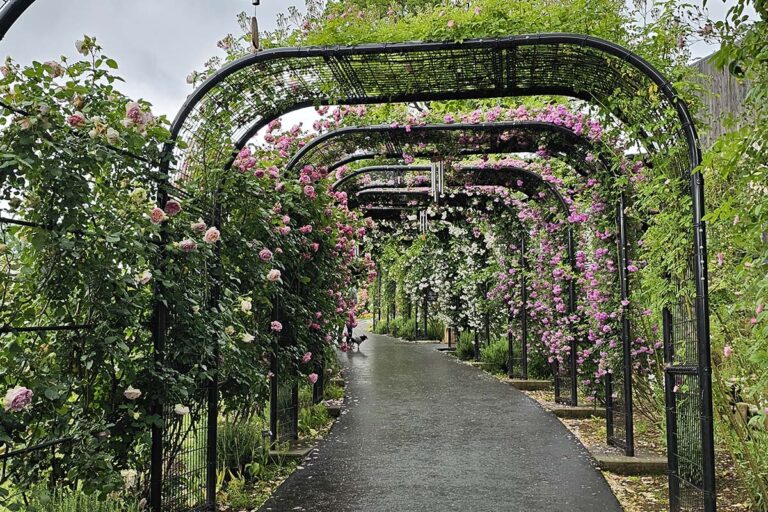 Rose Gates Welcome You