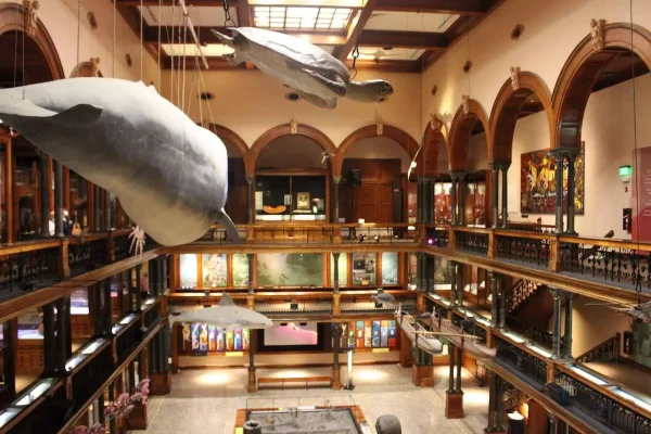 Bishop Museum